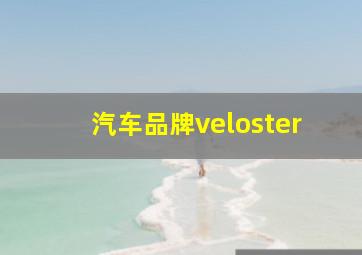 汽车品牌veloster