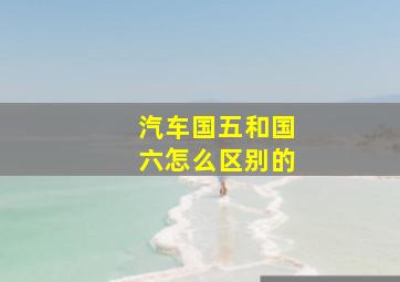 汽车国五和国六怎么区别的