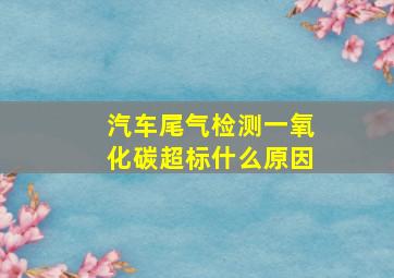 汽车尾气检测一氧化碳超标什么原因