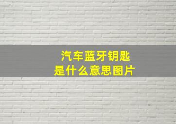 汽车蓝牙钥匙是什么意思图片