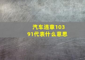 汽车违章10391代表什么意思