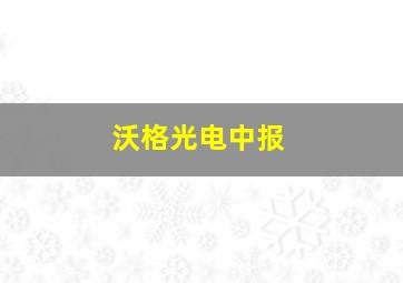 沃格光电中报