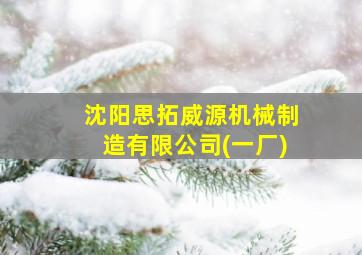 沈阳思拓威源机械制造有限公司(一厂)