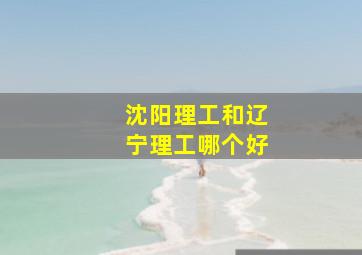 沈阳理工和辽宁理工哪个好