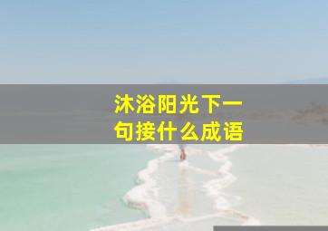 沐浴阳光下一句接什么成语