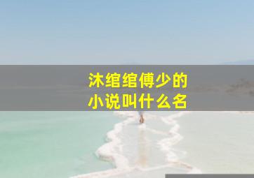 沐绾绾傅少的小说叫什么名