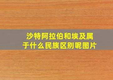 沙特阿拉伯和埃及属于什么民族区别呢图片