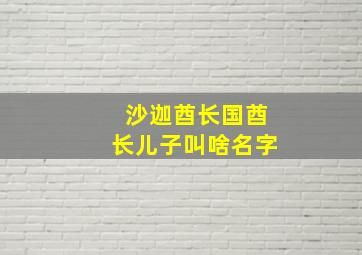 沙迦酋长国酋长儿子叫啥名字