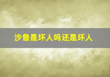 沙鲁是坏人吗还是坏人