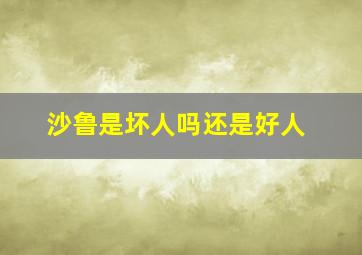 沙鲁是坏人吗还是好人