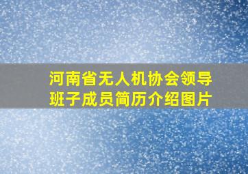 河南省无人机协会领导班子成员简历介绍图片