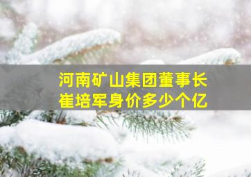 河南矿山集团董事长崔培军身价多少个亿