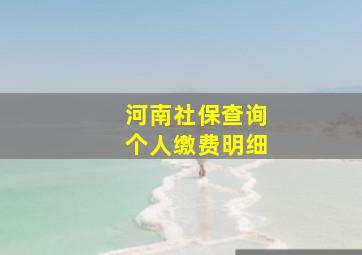 河南社保查询个人缴费明细