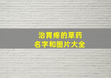 治胃疼的草药名字和图片大全