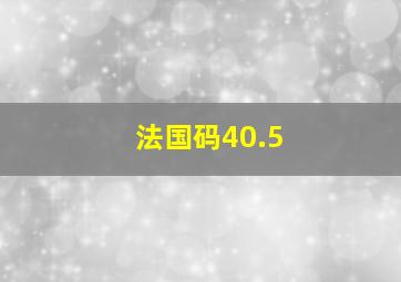 法国码40.5