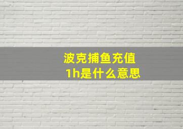 波克捕鱼充值1h是什么意思