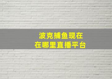 波克捕鱼现在在哪里直播平台