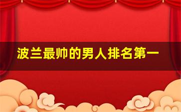 波兰最帅的男人排名第一