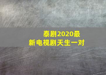 泰剧2020最新电视剧天生一对