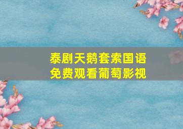 泰剧天鹅套索国语免费观看葡萄影视