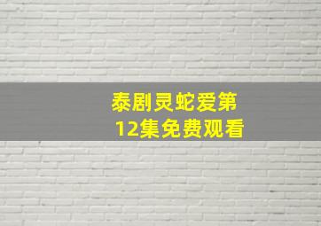 泰剧灵蛇爱第12集免费观看