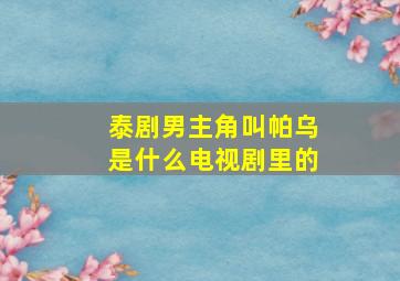 泰剧男主角叫帕乌是什么电视剧里的