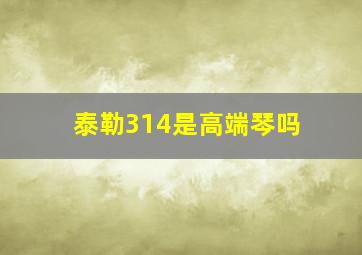 泰勒314是高端琴吗