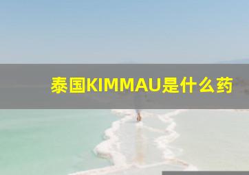 泰国KIMMAU是什么药