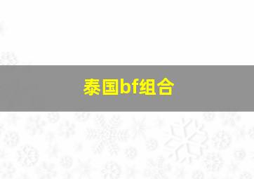 泰国bf组合