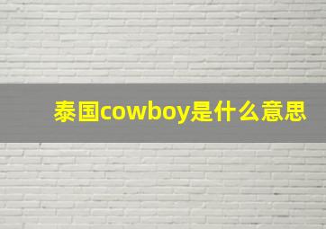 泰国cowboy是什么意思