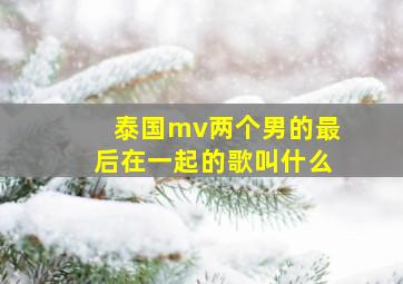 泰国mv两个男的最后在一起的歌叫什么