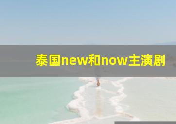 泰国new和now主演剧