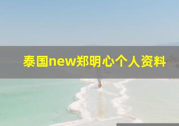 泰国new郑明心个人资料