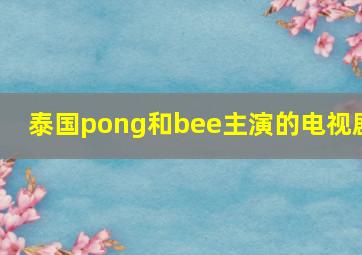 泰国pong和bee主演的电视剧