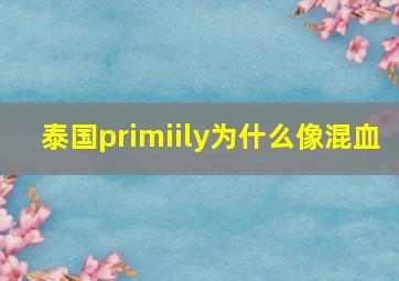 泰国primiily为什么像混血