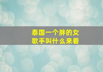 泰国一个胖的女歌手叫什么来着