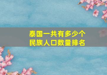 泰国一共有多少个民族人口数量排名