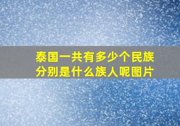 泰国一共有多少个民族分别是什么族人呢图片