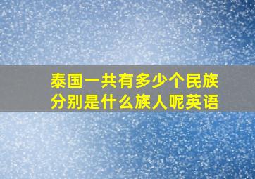 泰国一共有多少个民族分别是什么族人呢英语