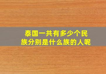 泰国一共有多少个民族分别是什么族的人呢