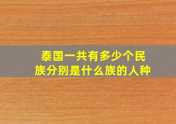 泰国一共有多少个民族分别是什么族的人种