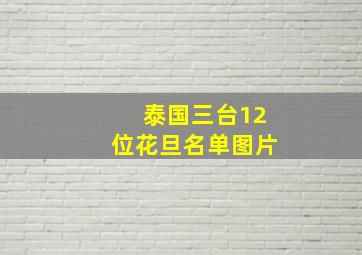 泰国三台12位花旦名单图片