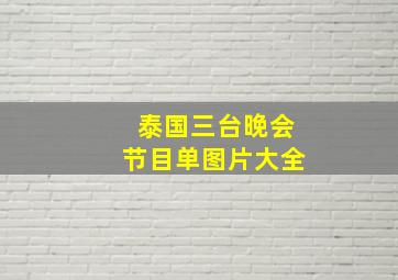 泰国三台晚会节目单图片大全