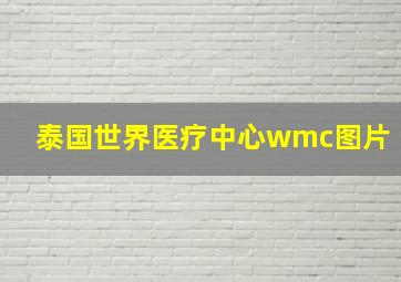 泰国世界医疗中心wmc图片