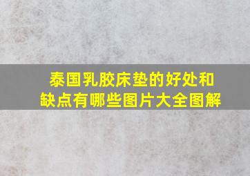 泰国乳胶床垫的好处和缺点有哪些图片大全图解