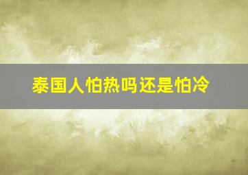 泰国人怕热吗还是怕冷