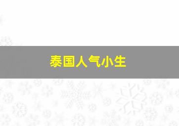 泰国人气小生