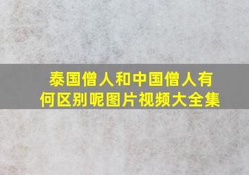 泰国僧人和中国僧人有何区别呢图片视频大全集