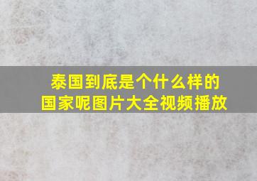 泰国到底是个什么样的国家呢图片大全视频播放