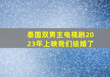 泰国双男主电视剧2023年上映我们结婚了